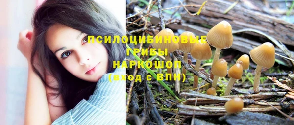 spice Тында