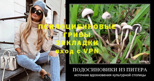 индика Покров