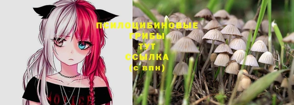 кокаин Туринск