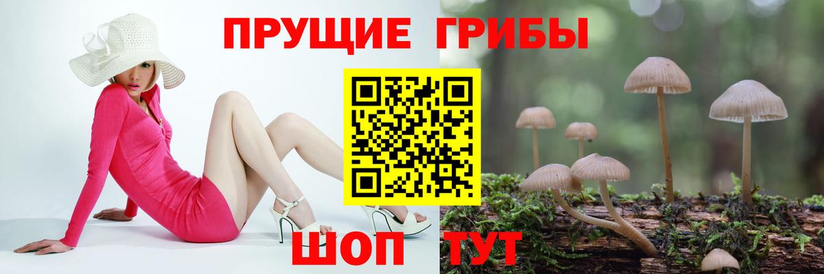 Галлюциногенные грибы MAGIC MUSHROOMS Урай